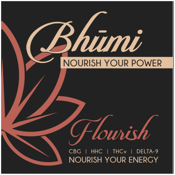 Bhūmi - Coconut Dark Chocolate Granola Bar ΔDelta-9 + THCv