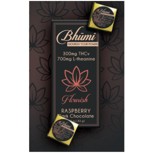 Bhūmi - Raspberry Dark Chocolate - THCv + L-theanine - THE PLUG DISTRIBUTION