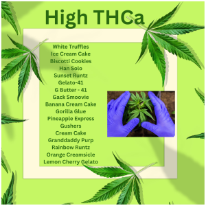 High THCa - The Plug Distribution