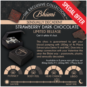 Bhūmi - Valentines Day Aphrodisiac Chocolates - The Plug Distribution